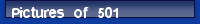 Pictures of 501
